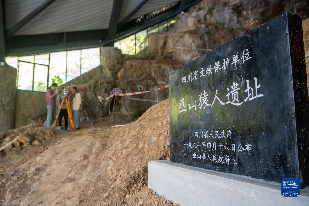平台官方下载